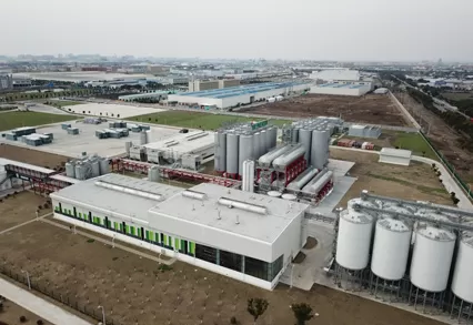 Proyecto Camboya Heineken Burdeos